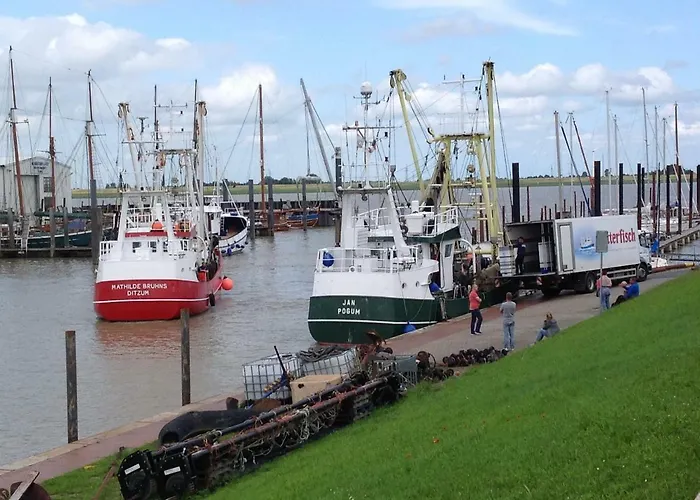 Vier Sterne Am Hafen, דיצום